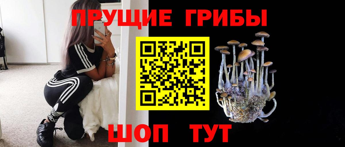 Галлюциногенные грибы MAGIC MUSHROOMS Сокол